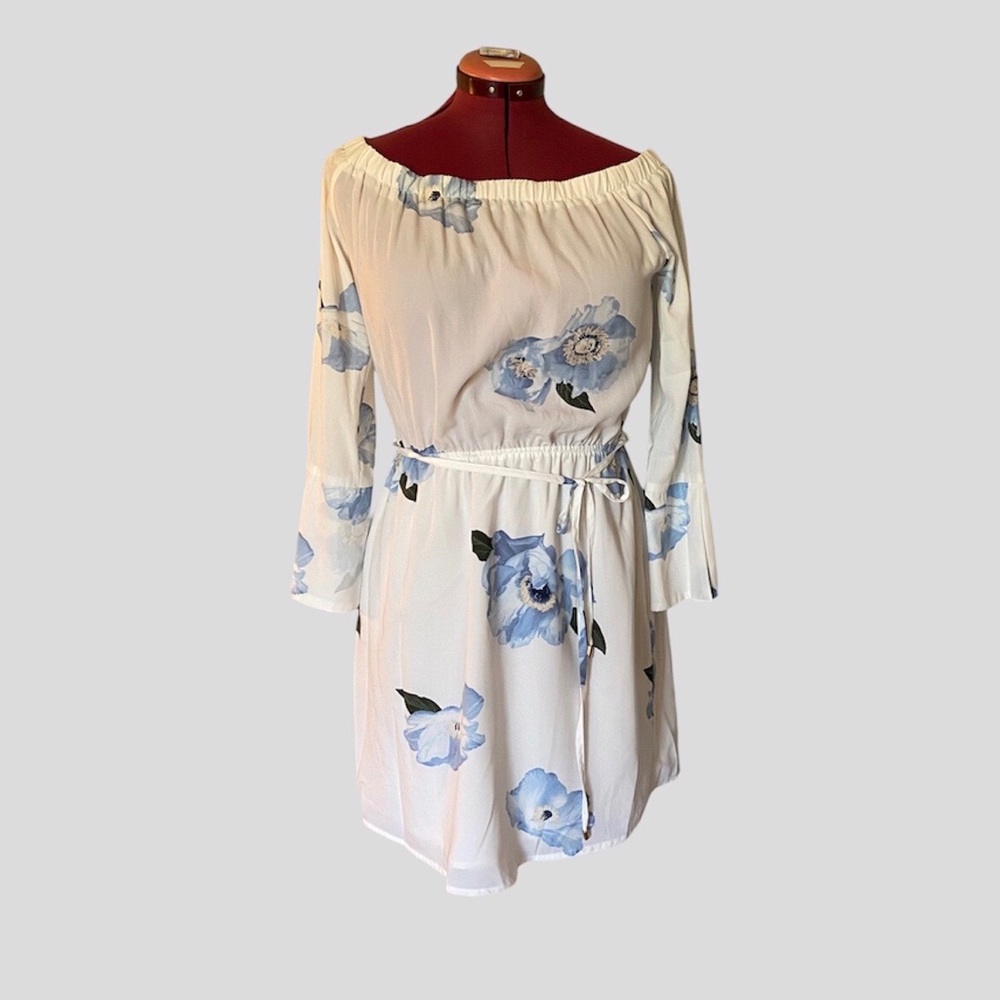 DEX Off-the-Shoulder White and Blue Floral Dress
